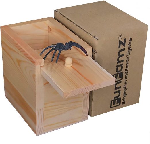 FunFamz Spider Prank Wooden Box Toy