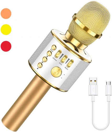 LET'S GO! Bluetooth Karaoke Microphone