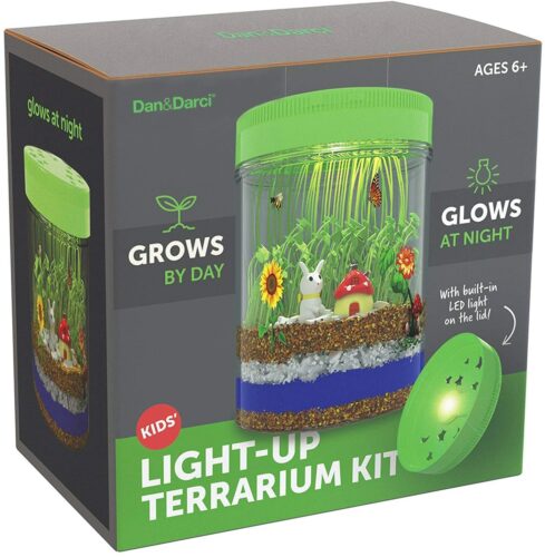 Dan&Darci Light-up Terrarium Kit